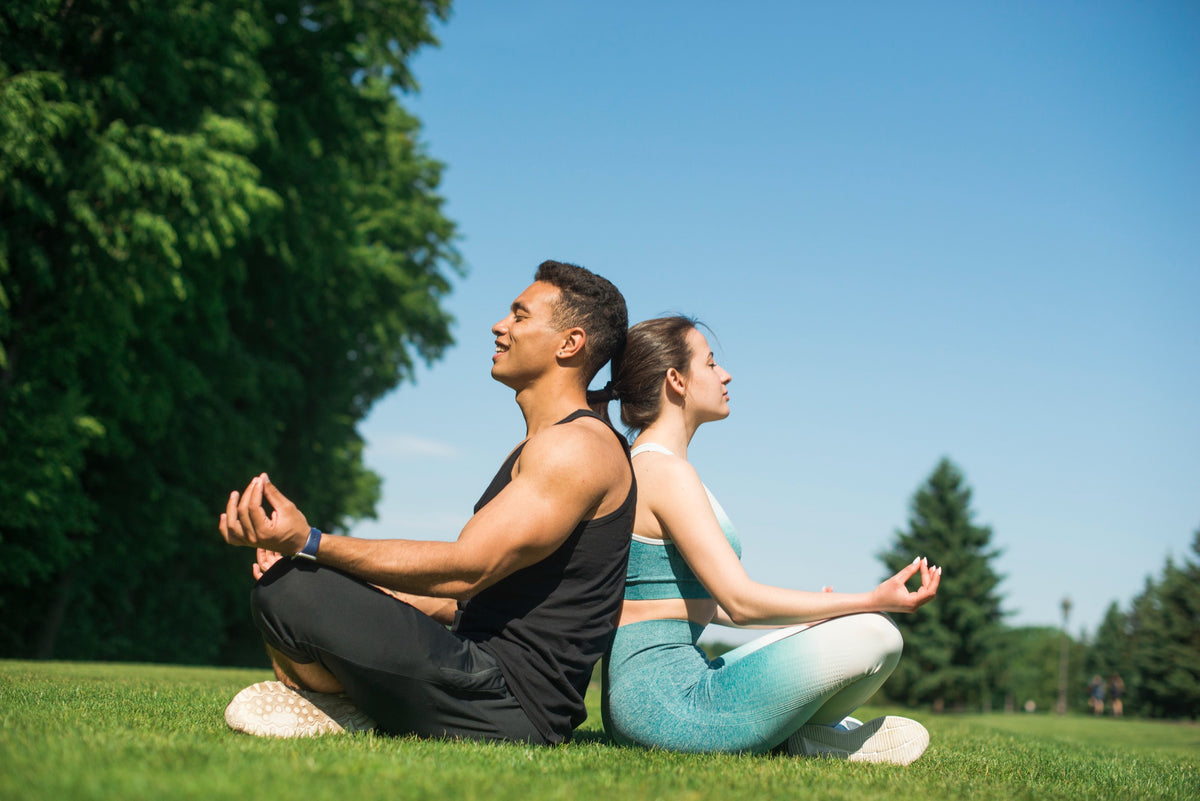 Longevity Yoga Program