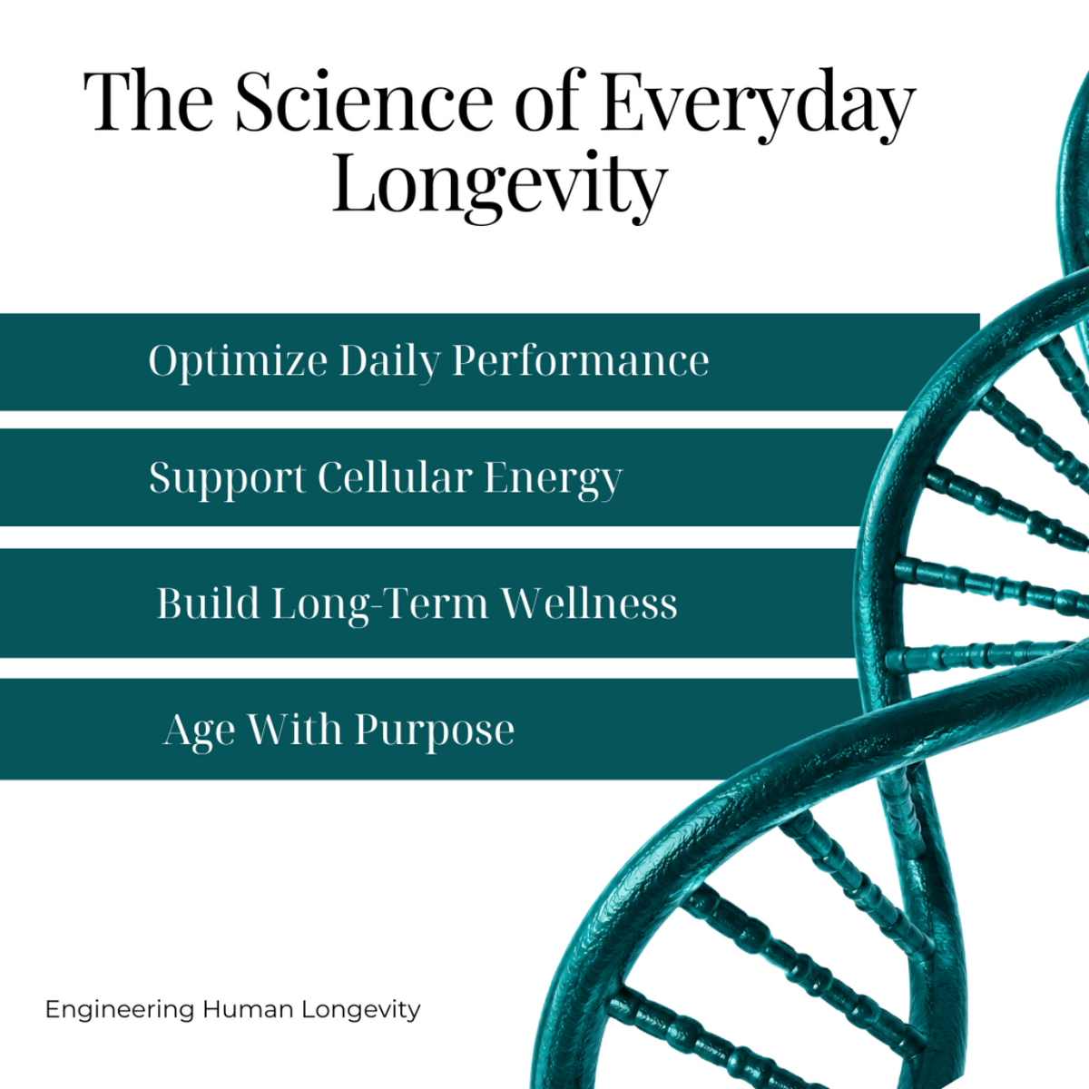 Longevity Cell+